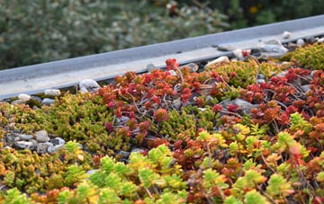 the cost of Newton Bewley green roof installation