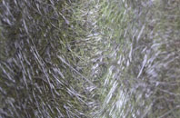 Newton Bewley fibreglass roof work